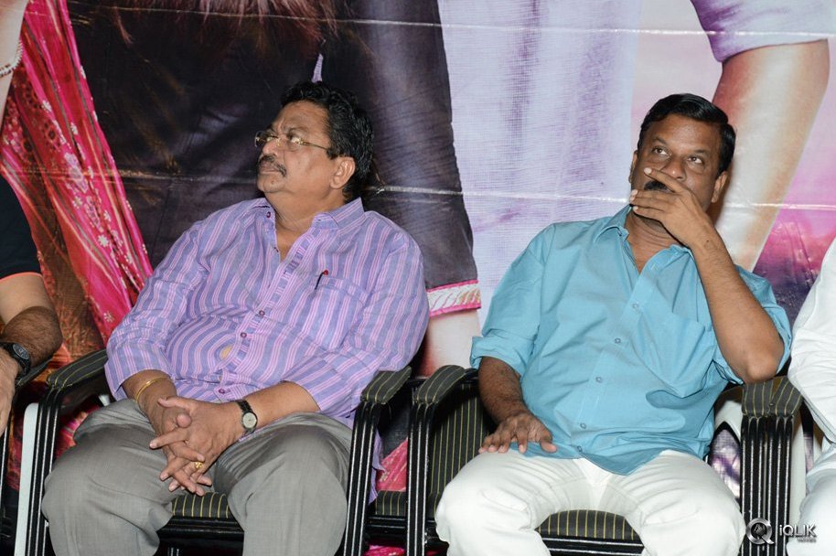 Seenugadi-Love-Story-Movie-Audio-Launch